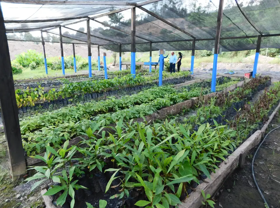 Ecological Compensation